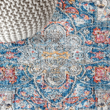 Manisa Vintage Medallion Area Rug
